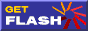 Flash Media Player